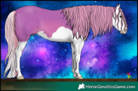 Horse Color:Watercolor Chestnut Splash 