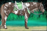Horse Color:Liver Chestnut Splash Tobiano Frame and Liver Chestnut Splash Tobiano Frame