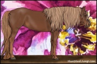 Horse Color:Chestnut Rabicano 