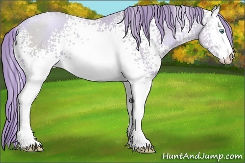 Horse Color:Watercolor White Spotted Smoky Black Pearl Sabino 