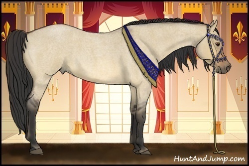 Horse Color:Buckskin Roan Dun 