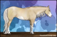 Horse Color:Silver Grullo Pearl Sabino