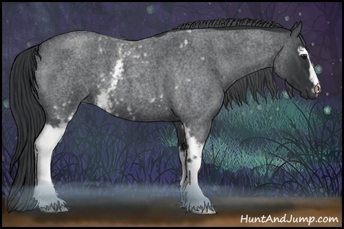 Horse Color:White Spotted Blue Chinchilla Roan