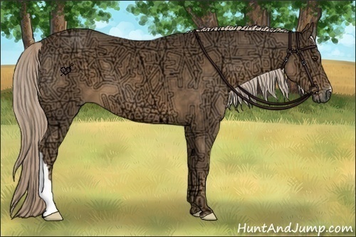 Horse Color:Chocolate Palomino Ice