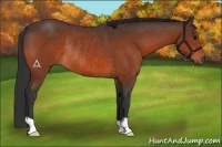 Horse Color:Bay Rabicano 