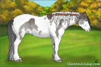 Horse Color:Grullo Splash Tobiano Rabicano
