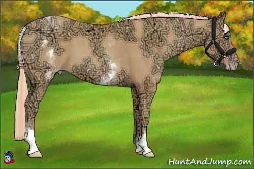 Horse Color:White Spotted Gold Champagne Ice