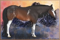Horse Color:White Spotted Brown Sabino