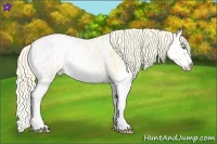 Horse Color:Gold Cream Champagne Ice Sabino
