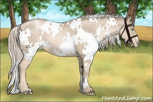 Horse Color:White Spotted Chocolate Palomino Pearl 