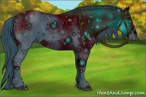 Horse Color:ERROR: UNKNOWN ANOMALY