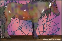 Horse Color:Nacre White Spotted Bay Rabicano 