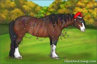 Horse Color:Bay Sabino Rabicano 