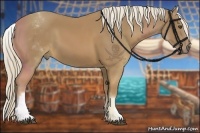 Horse Color:White Spotted Palomino Sabino