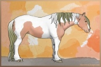 Horse Color:Watercolor Bay Pearl Tobiano 