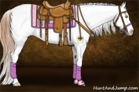 Horse Color:Amber Champagne Roan Tobiano Near Fewspot Rabicano