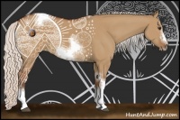 Horse Color:Silver Bay Dun Sabino Tobiano Frame Rabicano 