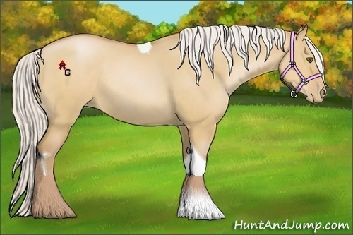 Horse Color:Silver Bay Pearl Dun Sabino Tobiano 