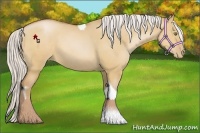 Horse Color:Silver Bay Pearl Dun Sabino Tobiano 