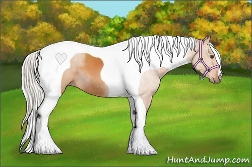 Horse Color:Silver Bay Tobiano