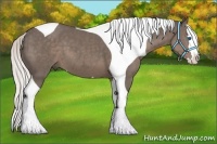 Horse Color:Silver Black Splash Tobiano 