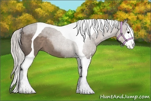 Horse Color:Silver Black Sabino Tobiano 