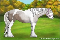 Horse Color:Silver Black Sabino Tobiano 