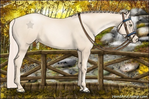 Horse Color:Gold Cream Champagne Pearl 