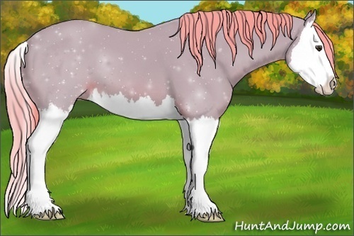 Horse Color:Watercolor Chestnut Splash 