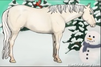 Horse Color:Silver Amber Cream Champagne Pearl 