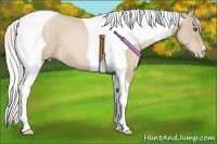 Horse Color:Silver Buckskin Pearl Tobiano 