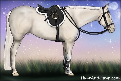 Horse Color:Gold Cream Champagne Pearl 