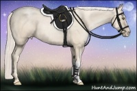 Horse Color:Gold Cream Champagne Pearl
