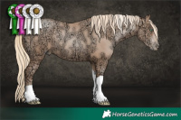Horse Color:Gold Champagne Ice Pearl Tobiano