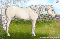 Horse Color:Gold Cream Champagne Pearl 