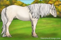 Horse Color:Silver Amber Cream Champagne Pearl