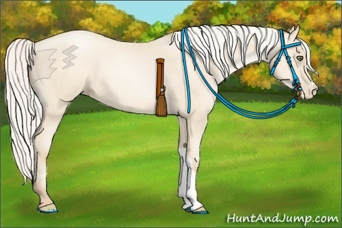 Horse Color:Silver Sable Cream Champagne Pearl 
