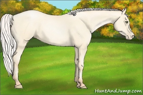 Horse Color:Silver Amber Cream Champagne Pearl