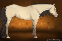 Horse Color:Amber Champagne Dun 