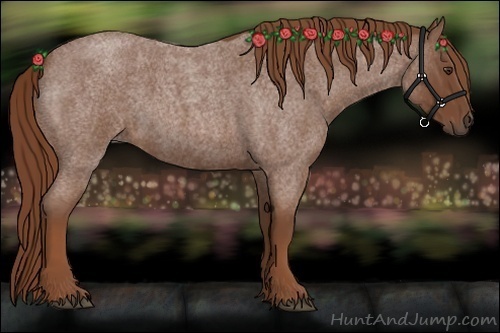 Horse Color:Red Roan 