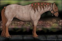 Horse Color:Red Roan