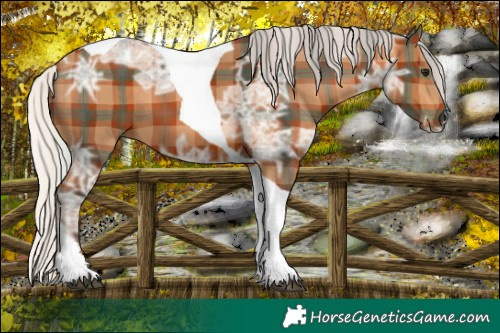 Horse Color:Plaid Silver Brown Ice Tobiano