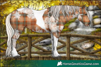 Horse Color:Plaid  Silver Brown Ice Tobiano 