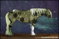 Horse Color:Watercolor Plaid  Silver Brown Ice Dun Sabino Tobiano 