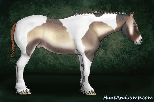Horse Color:Liver Red Onyx Roan Tobiano 