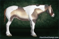 Horse Color:Liver Red Onyx Roan Tobiano