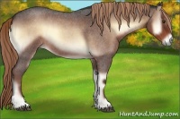 Horse Color:Liver Red Onyx Roan
