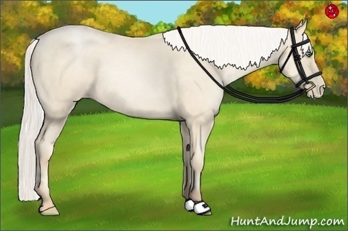 Horse Color:Silver Amber Cream Champagne Pearl
