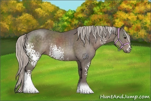 Horse Color:White Spotted Silver Black Sabino 