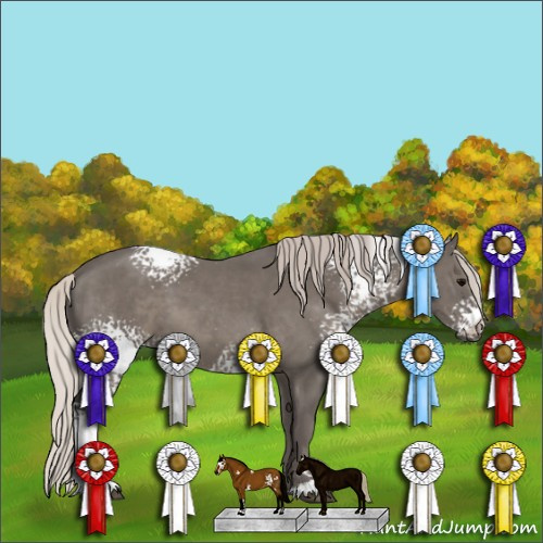 Horse Color:White Spotted Silver Black Sabino 